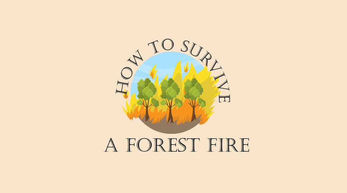 How to Survive a Forest Fire while Hiking or Camping Unigear